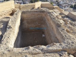 Castillo de Alhama 2008